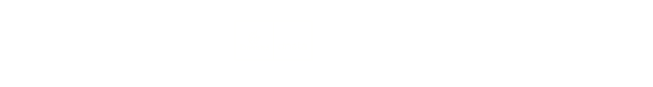 Principal Partners